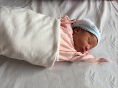 子宫受损代妈助孕 喜获健康男宝宝