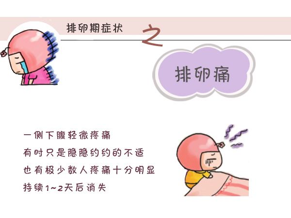 排卵期下腹部坠痛