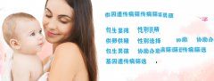 为什么要把胚胎分成三六九等